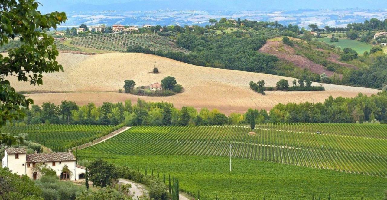 Villa Le Buche Sarteano Exteriér fotografie